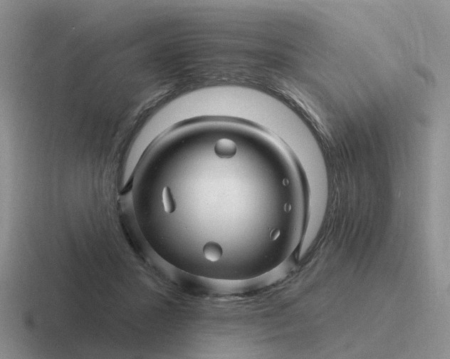 X0000116870407201001051448