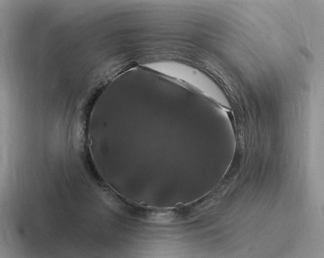 X0000116870410201001051448