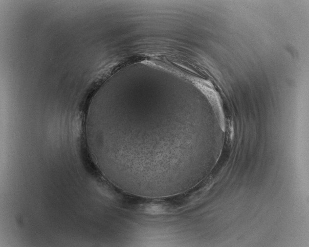 X0000116870412201001051448