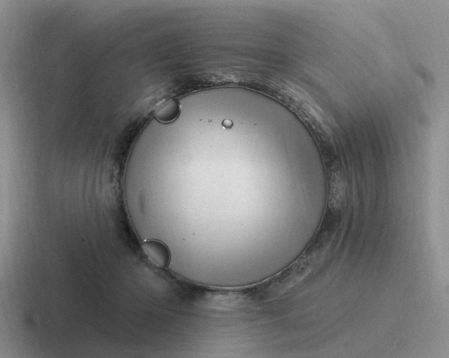 X0000116870414201001051448