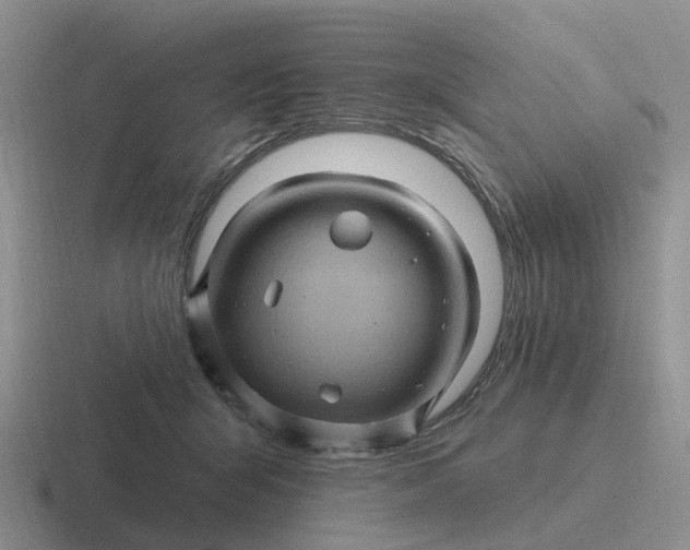 X0000116870415201001051448