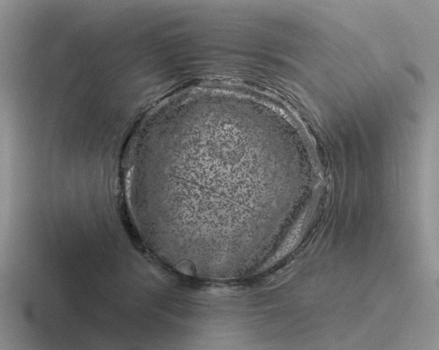 X0000116870416201001051448