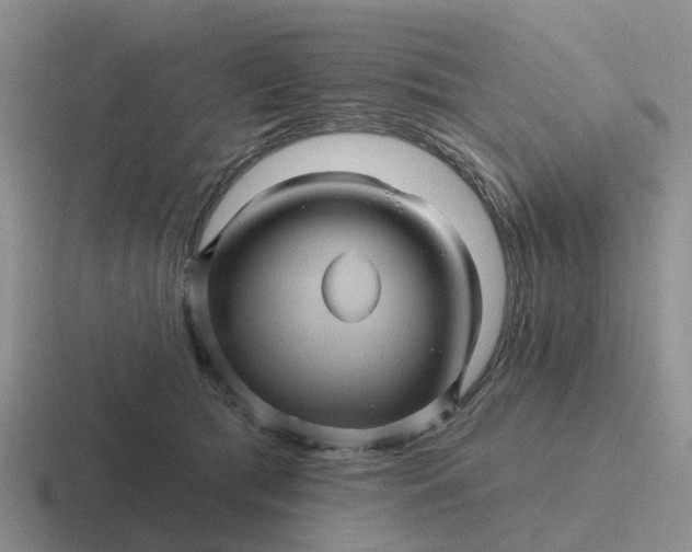 X0000116870417201001051448