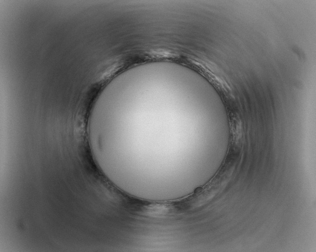 X0000116870418201001051448