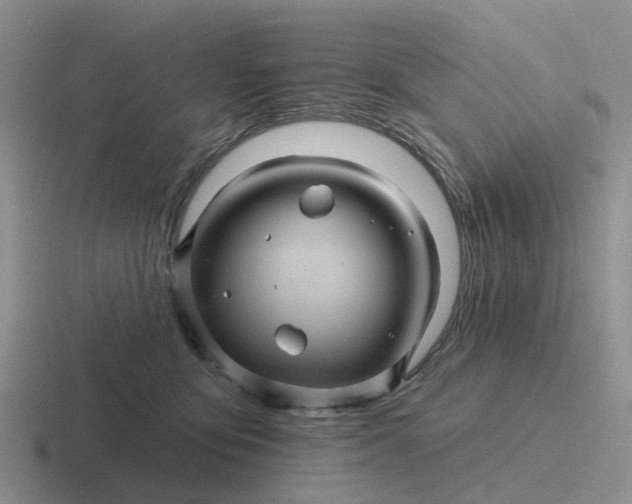 X0000116870419201001051448