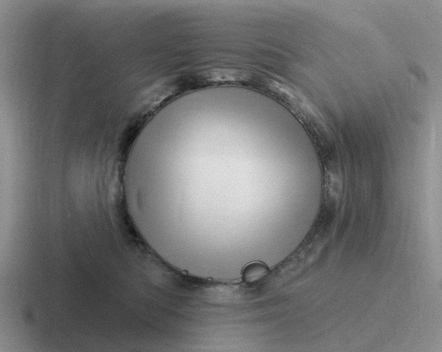 X0000116870422201001051448