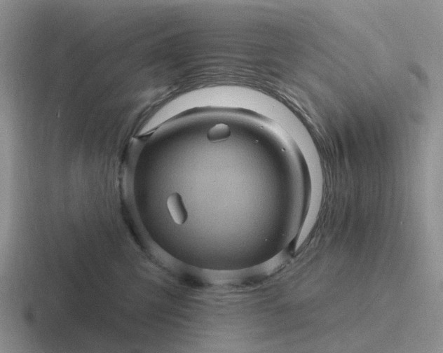 X0000116870423201001051448