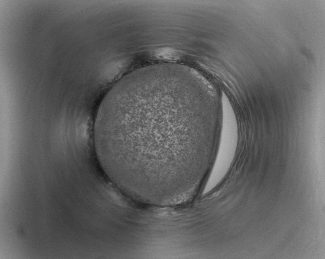 X0000116870424201001051448