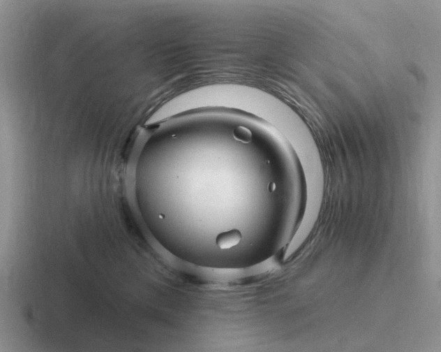 X0000116870425201001051448