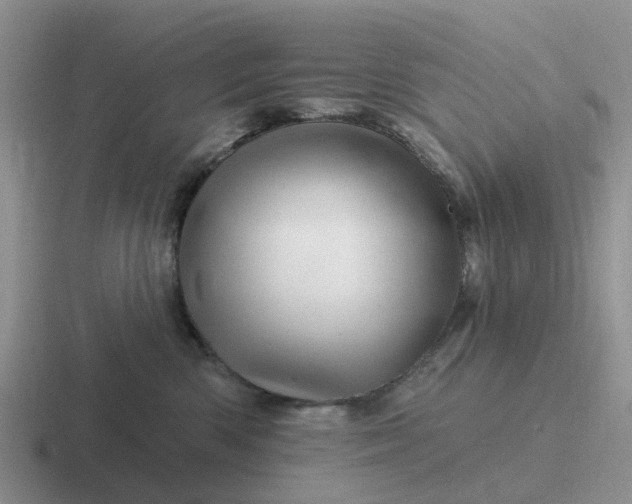 X0000116870426201001051448