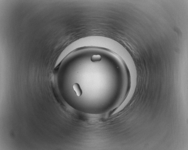 X0000116870427201001051448