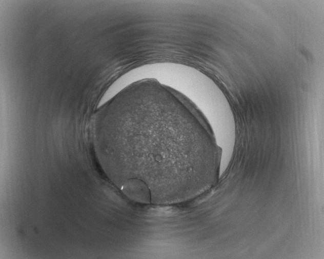 X0000116870428201001051448