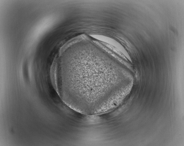 X0000116870429201001051448