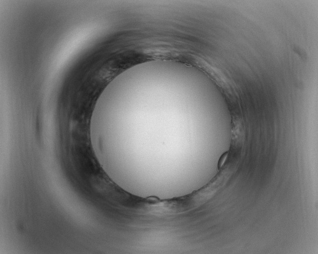 X0000116870430201001051448