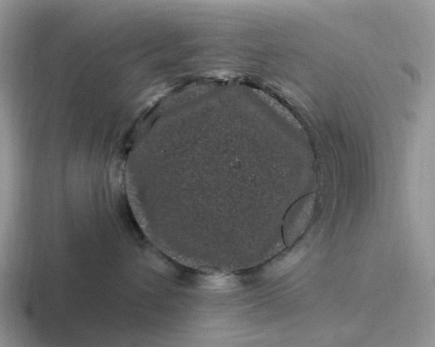 X0000116870432201001051448