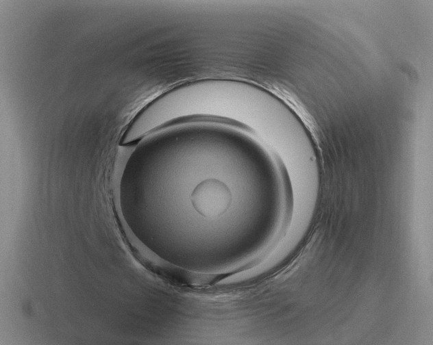 X0000116870433201001051447