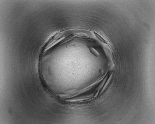 X0000116870434201001051447