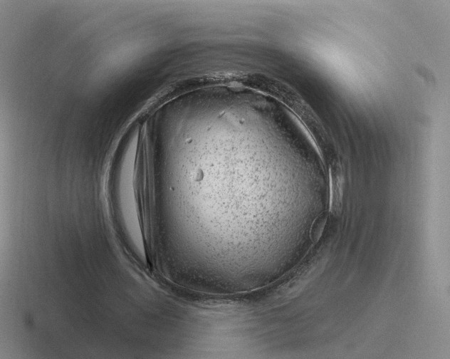 X0000116870435201001051447