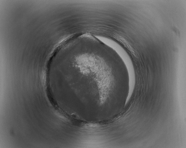 X0000116870444201001051447