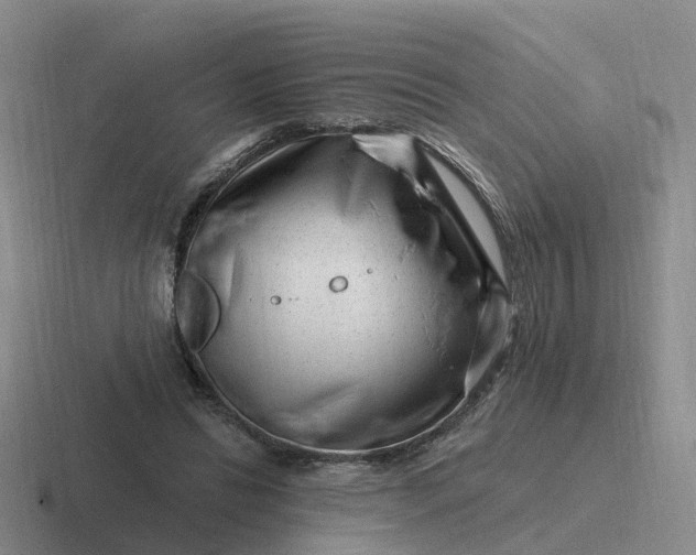 X0000116870446201001051447