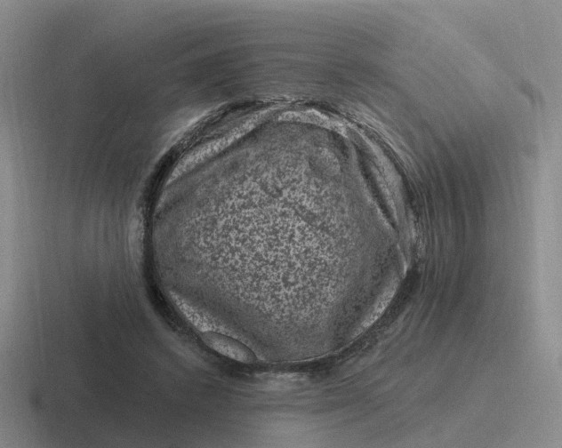 X0000116870448201001051448