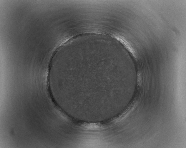 X0000116870449201001051448