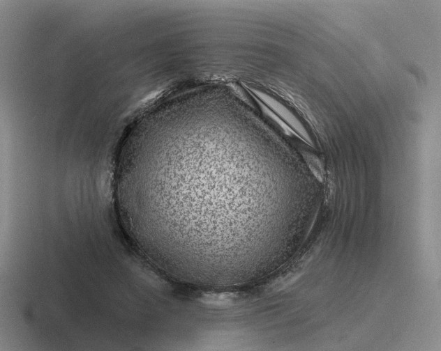 X0000116870450201001051448