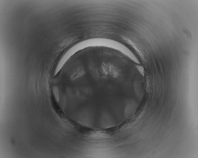 X0000116870451201001051448