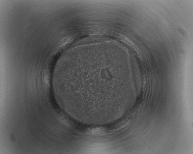 X0000116870452201001051448