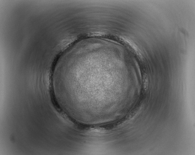 X0000116870455201001051448