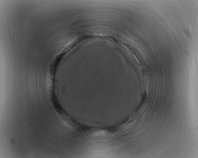 X0000116870456201001051448