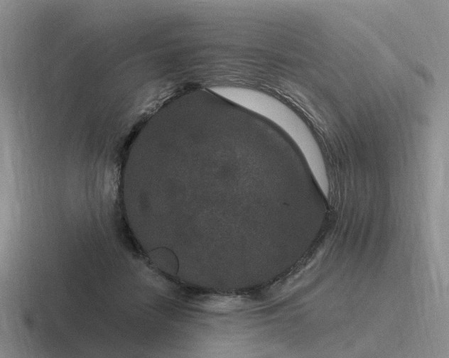 X0000116870458201001051448