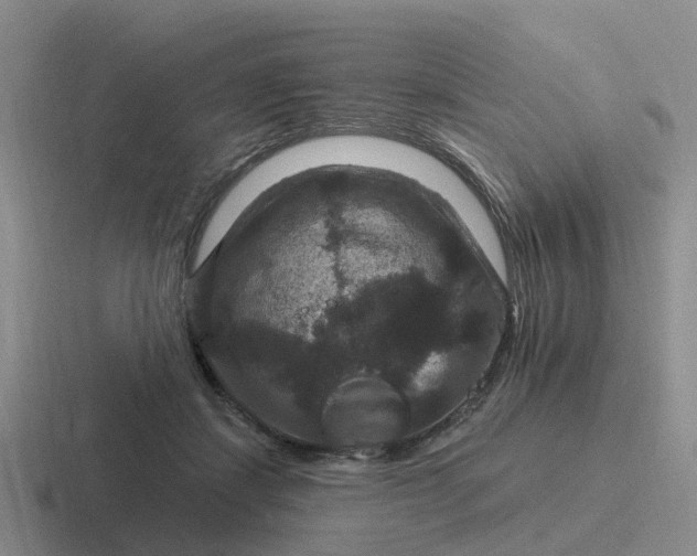 X0000116870459201001051448