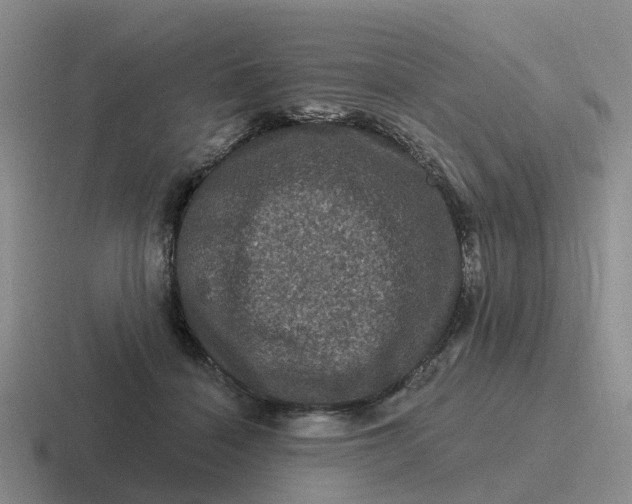 X0000116870460201001051448