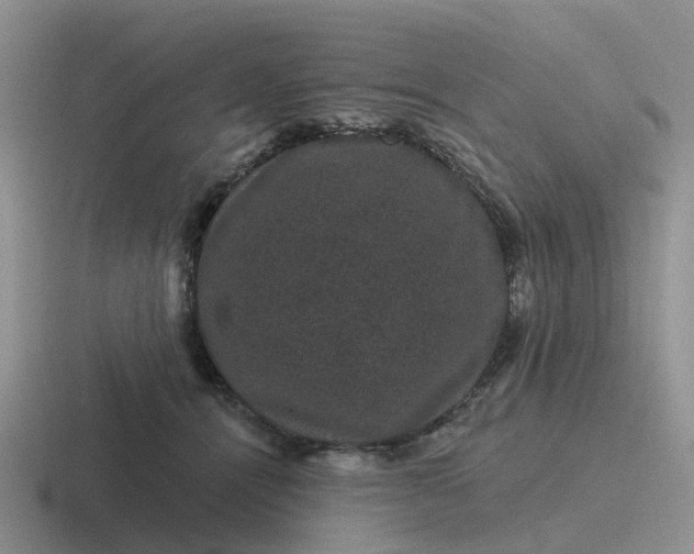 X0000116870464201001051448