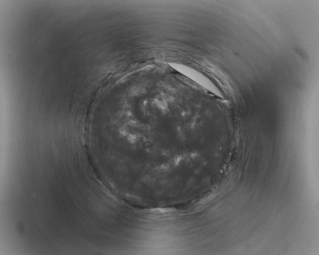 X0000116870465201001051448