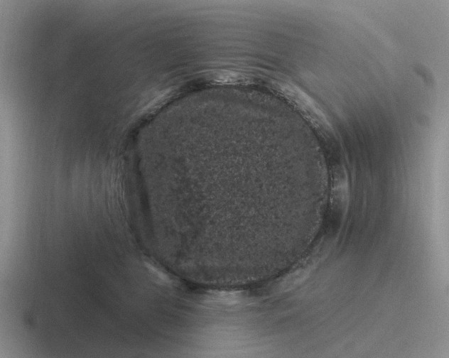 X0000116870469201001051448