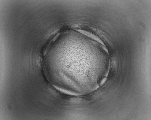 X0000116870470201001051448