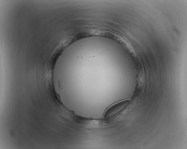 X0000116870473201001051448