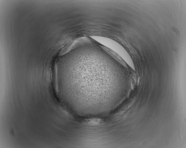 X0000116870474201001051448