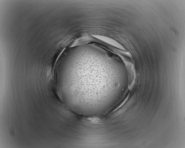 X0000116870478201001051448