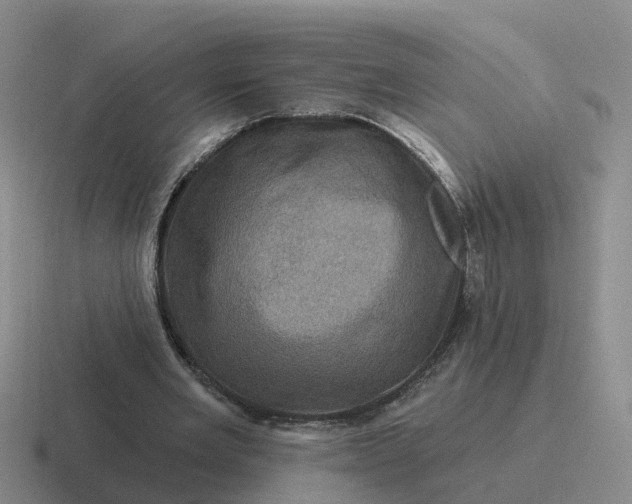 X0000116870485201001051447