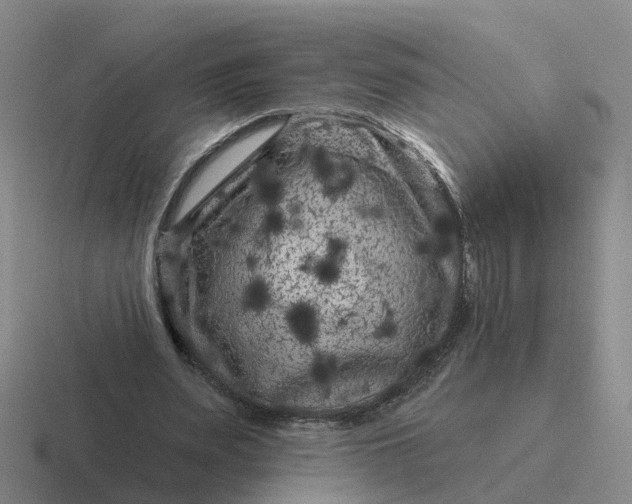 X0000116870487201001051447