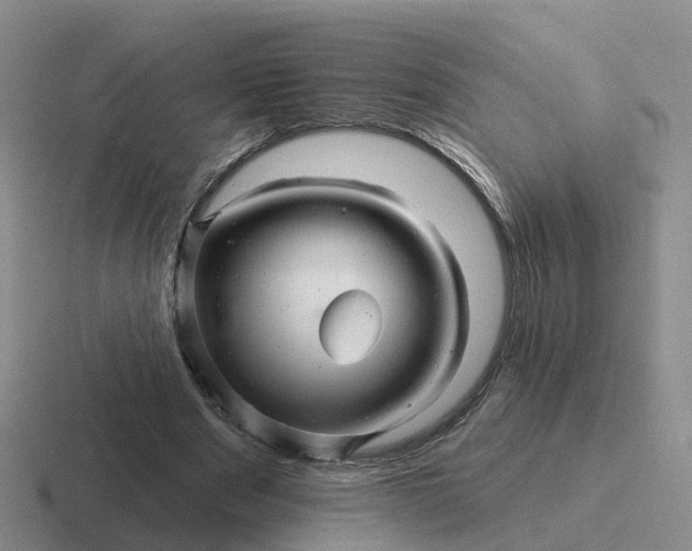 X0000116870489201001051447