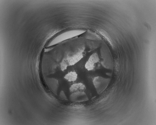 X0000116870491201001051447