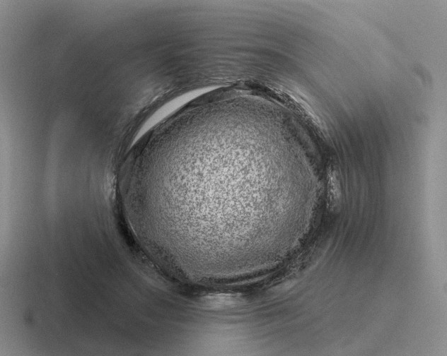 X0000116870499201001051447