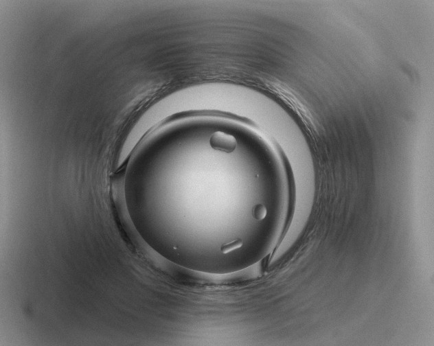 X0000116870501201001051447