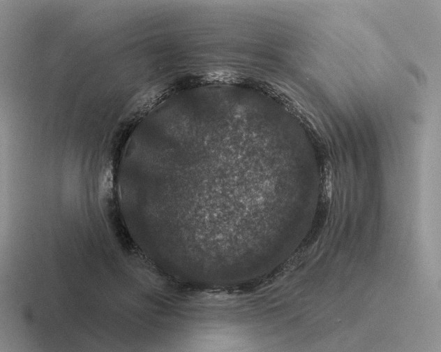 X0000116870502201001051447