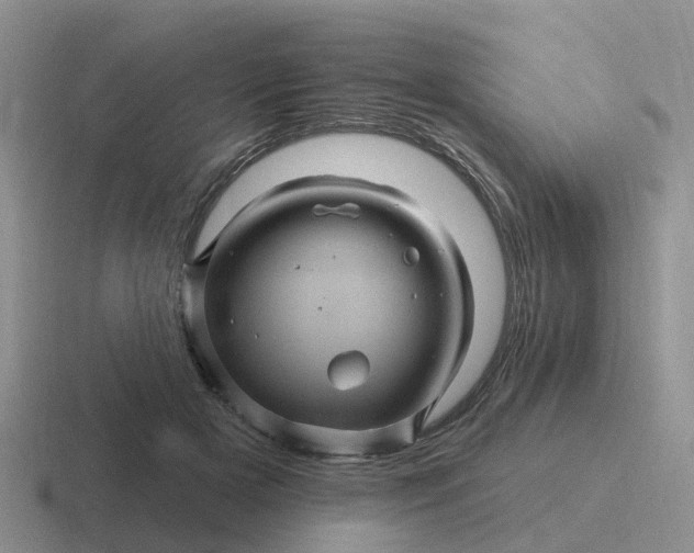 X0000116870505201001051447