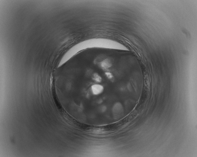 X0000116870507201001051447